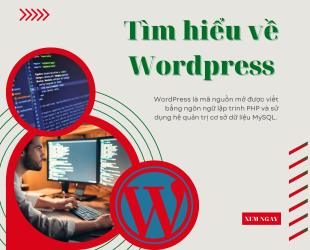 Tìm hiểu về WordPress
